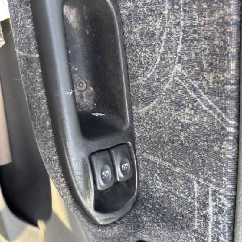 Custode arriere gauche RENAULT SCENIC 1 Photo n°10