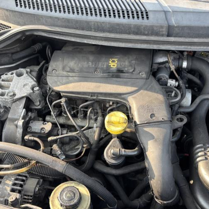 Custode arriere gauche RENAULT SCENIC 1 Photo n°17