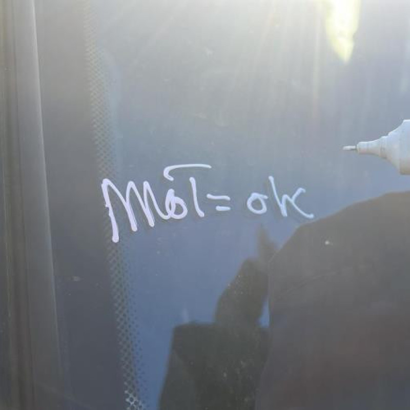 Custode arriere gauche RENAULT SCENIC 1 Photo n°3