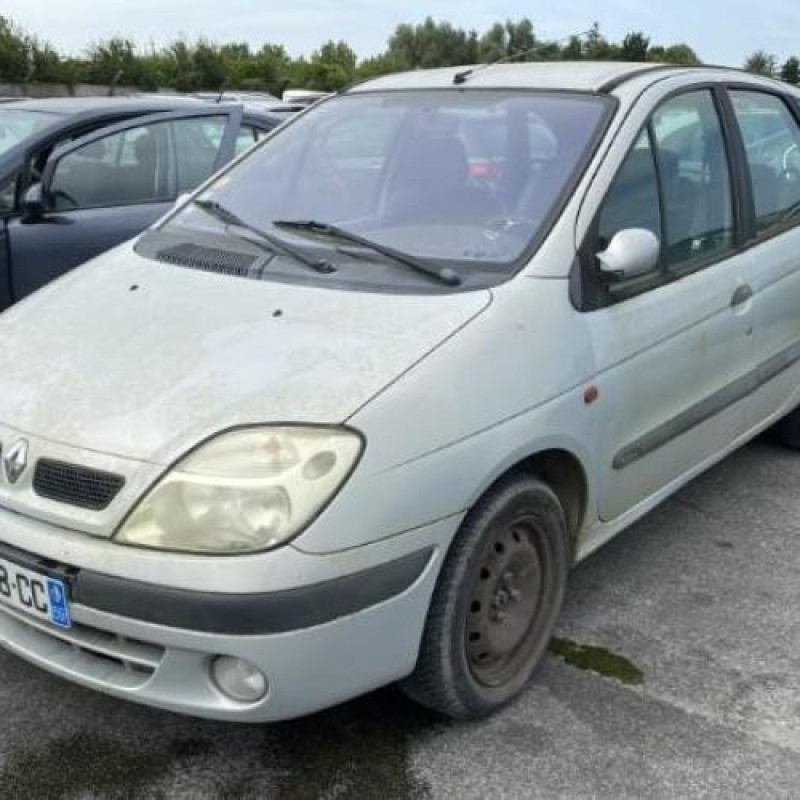 Custode arriere gauche RENAULT SCENIC 1 Photo n°14