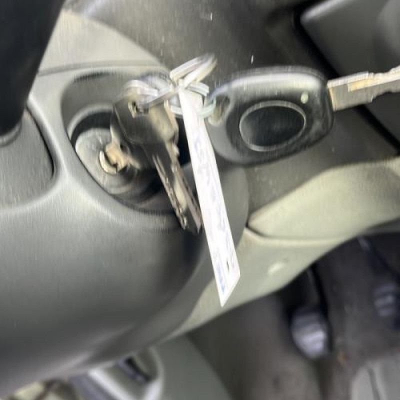 Custode arriere gauche RENAULT SCENIC 1 Photo n°2