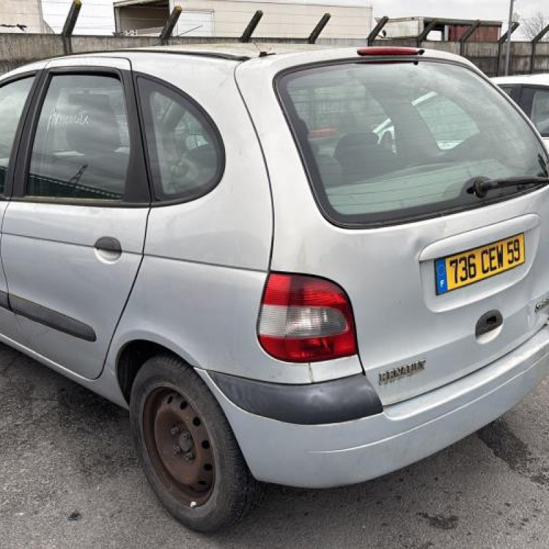 Custode arriere gauche RENAULT SCENIC 1 Photo n°6