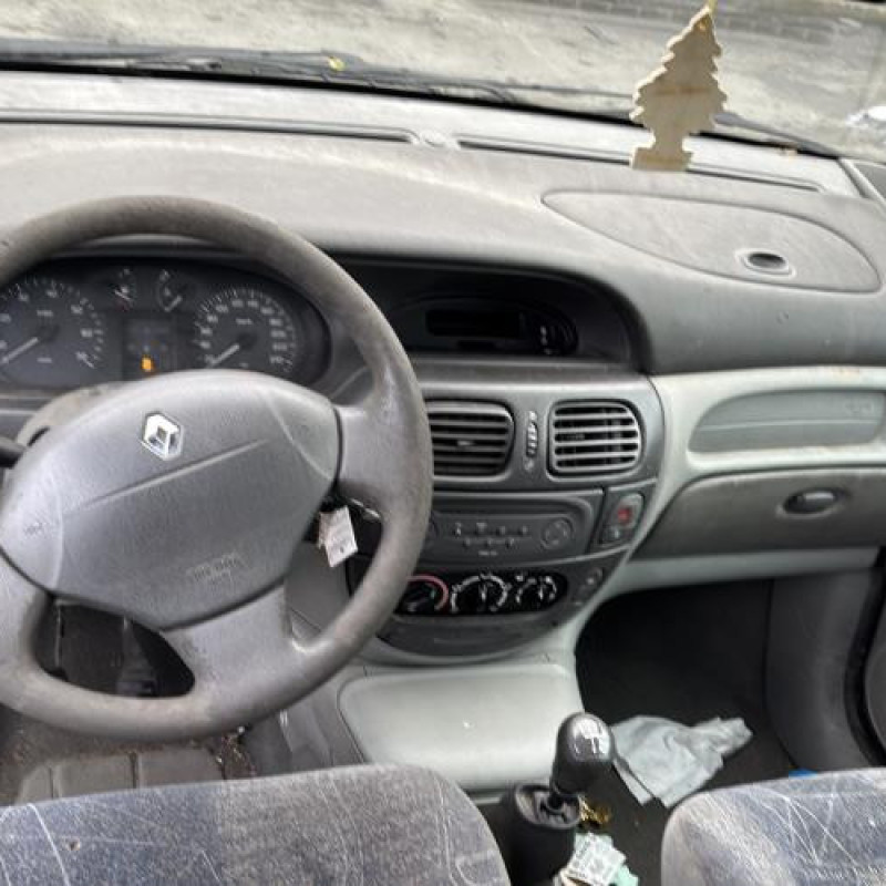 Custode arriere gauche RENAULT SCENIC 1 Photo n°14