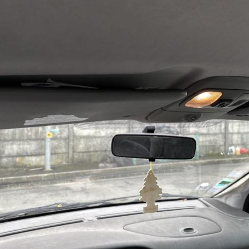 Pulseur d'air RENAULT SCENIC 1 Photo n°15