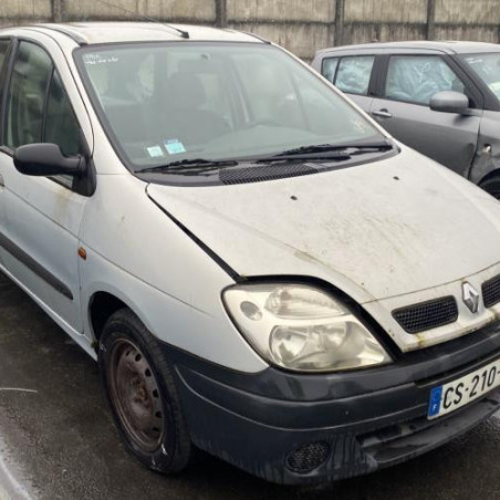 Custode arriere gauche RENAULT SCENIC 1