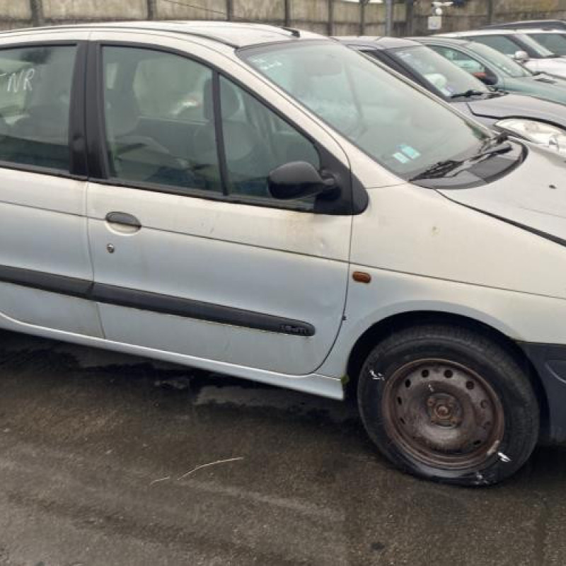 Custode arriere gauche RENAULT SCENIC 1 Photo n°7