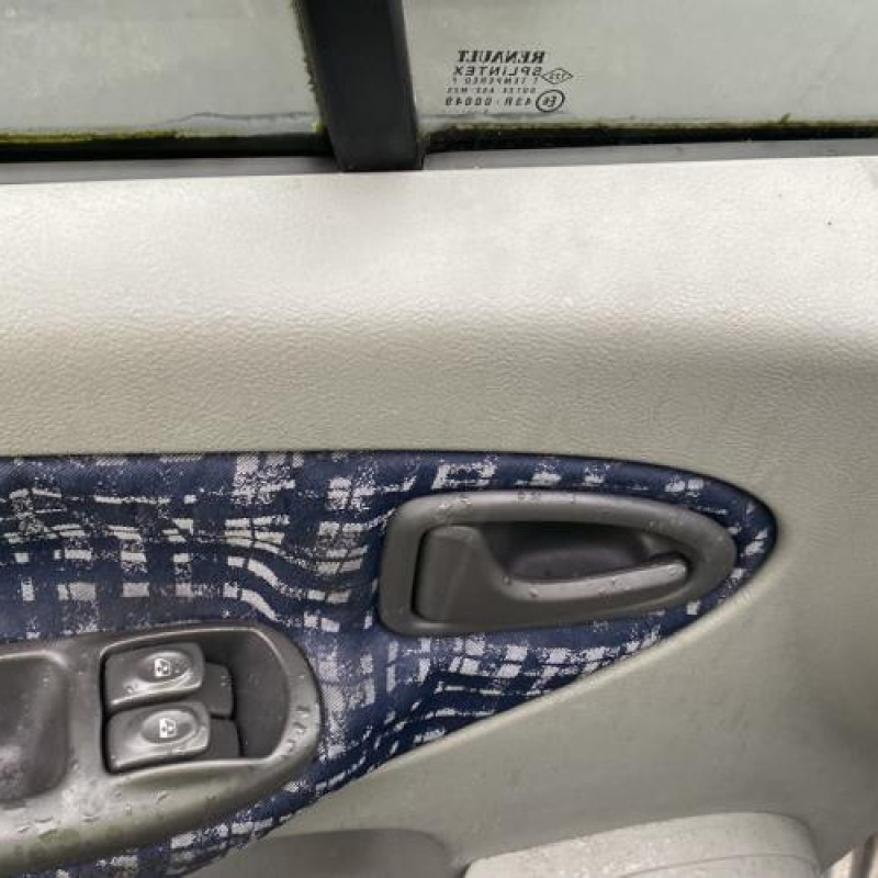 Custode arriere gauche RENAULT SCENIC 1 Photo n°10