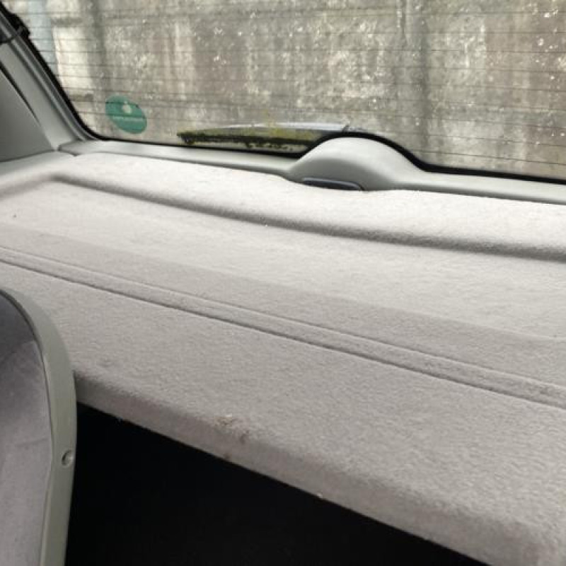 Custode arriere gauche RENAULT SCENIC 1 Photo n°13