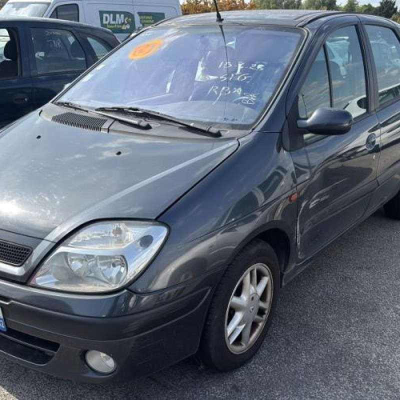 Custode arriere droit RENAULT SCENIC 1 Photo n°1