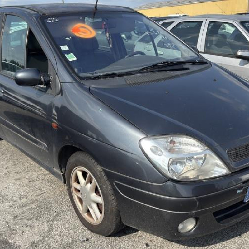 Custode arriere droit RENAULT SCENIC 1 Photo n°2