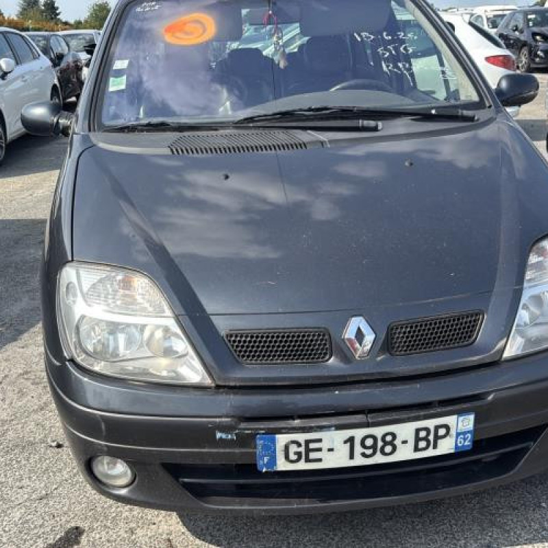 Custode arriere gauche RENAULT SCENIC 1 Photo n°8