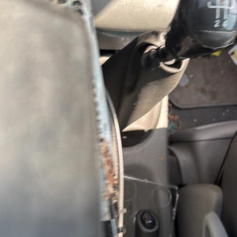 Custode arriere gauche RENAULT SCENIC 1 Photo n°15