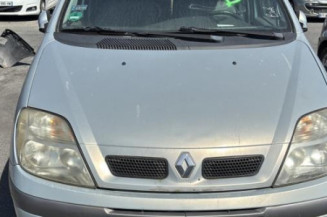 Custode arriere droit RENAULT SCENIC 1