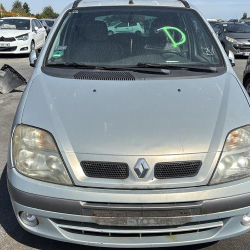 Custode arriere gauche RENAULT SCENIC 1 Photo n°8