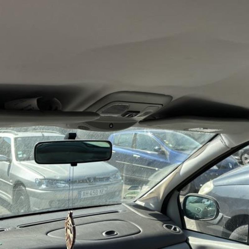 Custode arriere gauche RENAULT SCENIC 1 Photo n°14