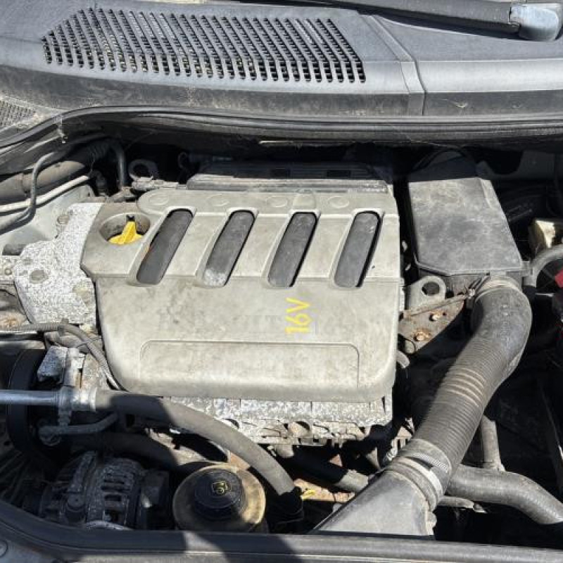 Custode arriere gauche RENAULT SCENIC 1 Photo n°20