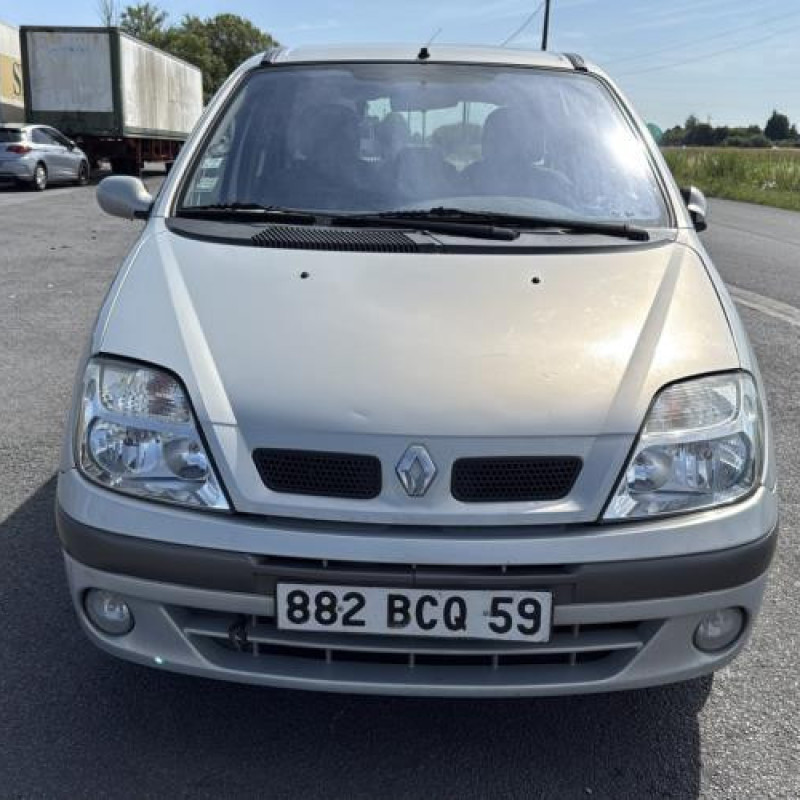 Custode arriere gauche RENAULT SCENIC 1 Photo n°8