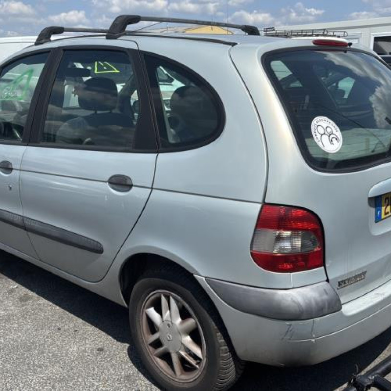 Custode arriere gauche RENAULT SCENIC 1 Photo n°6