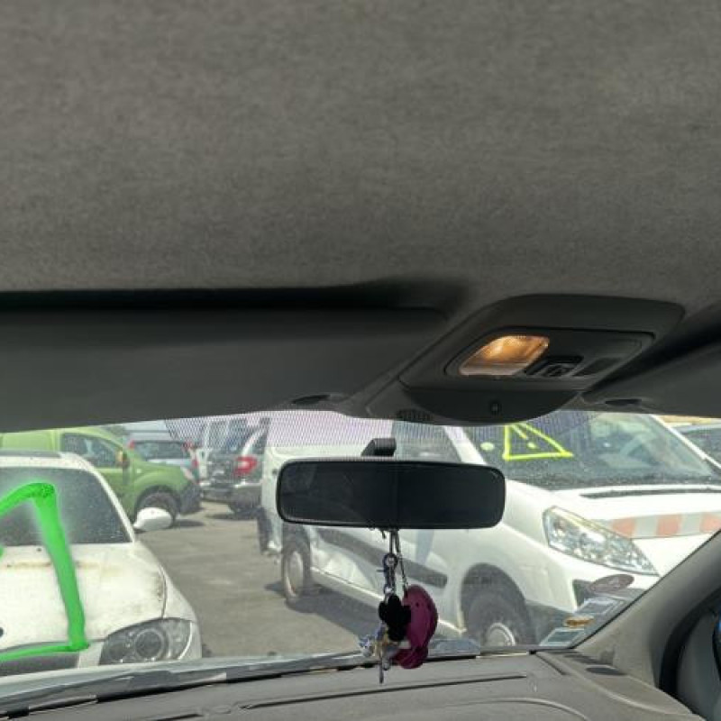 Custode arriere gauche RENAULT SCENIC 1 Photo n°15