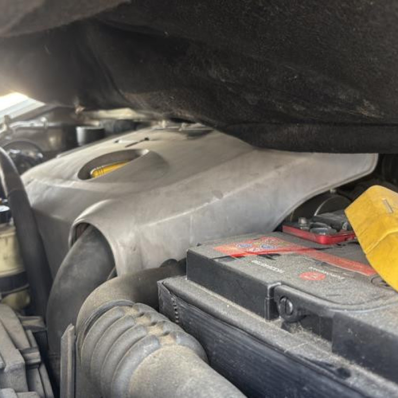 Custode arriere gauche RENAULT SCENIC 1 Photo n°20