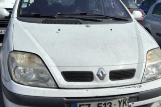 Custode arriere gauche RENAULT SCENIC 1