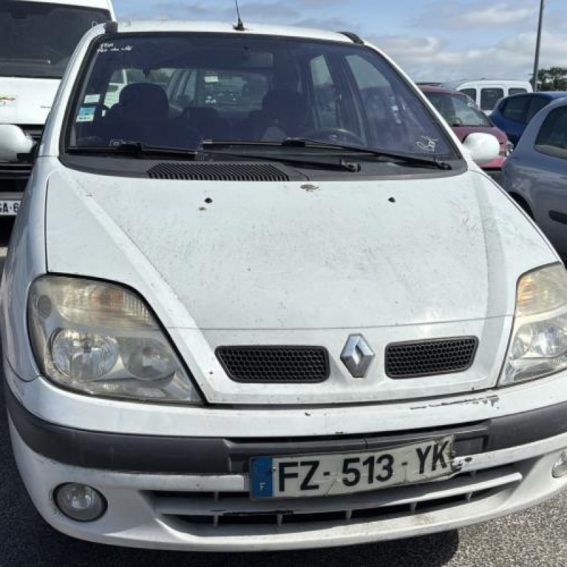 Custode arriere gauche RENAULT SCENIC 1 Photo n°8
