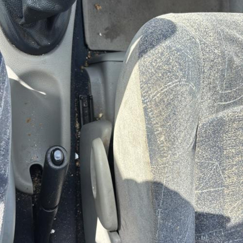 Custode arriere gauche RENAULT SCENIC 1 Photo n°14