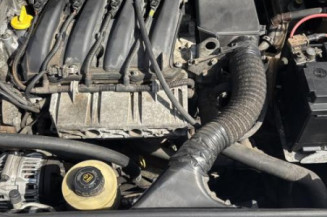 Custode arriere gauche RENAULT SCENIC 1