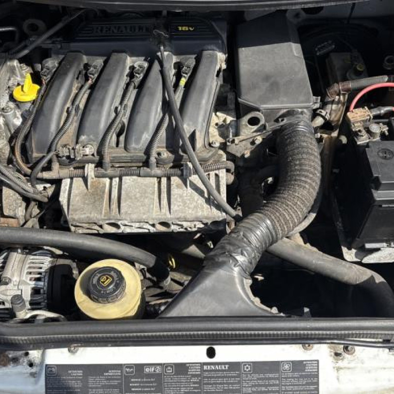 Custode arriere gauche RENAULT SCENIC 1 Photo n°16