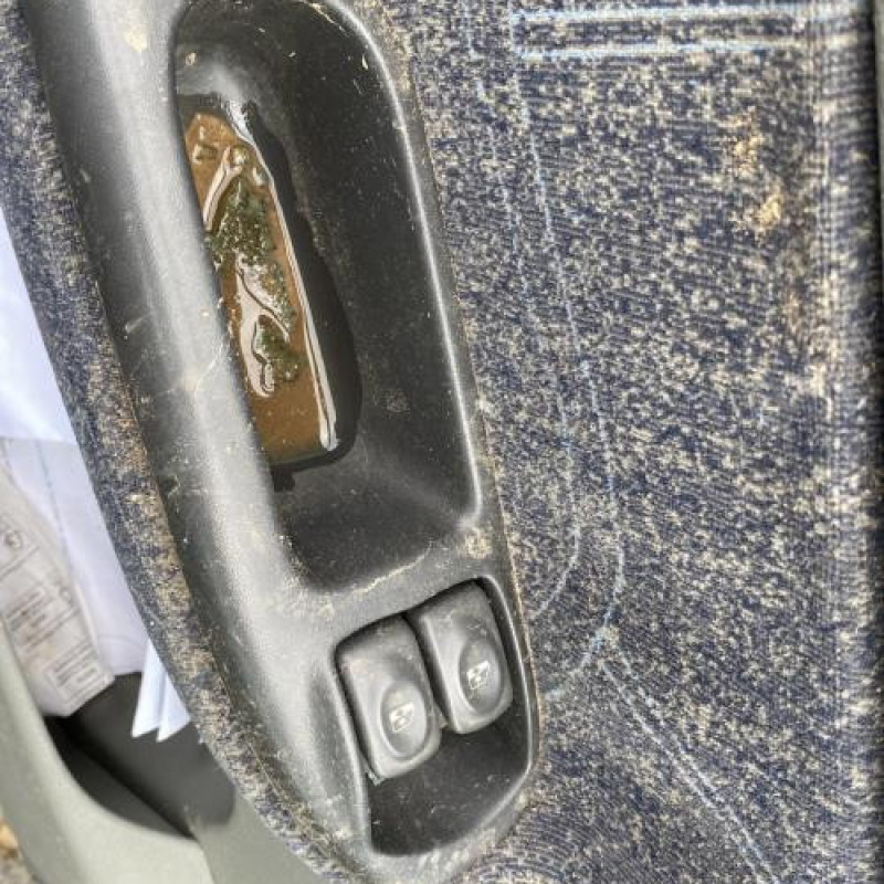 Bras essuie glace arriere RENAULT SCENIC 1 Photo n°20