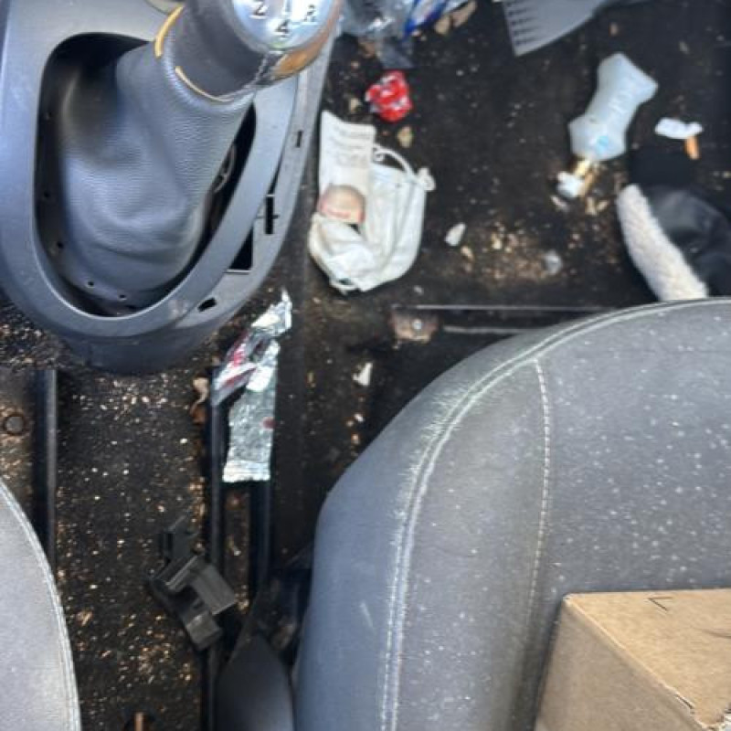 Feu arriere principal droit (feux) RENAULT TWINGO 2 Photo n°19