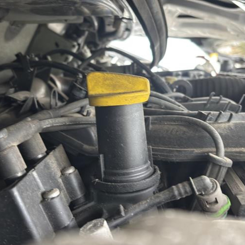 Feu arriere principal droit (feux) RENAULT TWINGO 2 Photo n°19