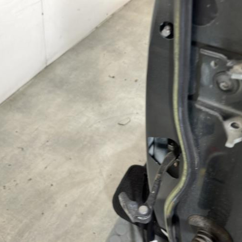 Porte avant gauche PEUGEOT 5008 1 Photo n°3