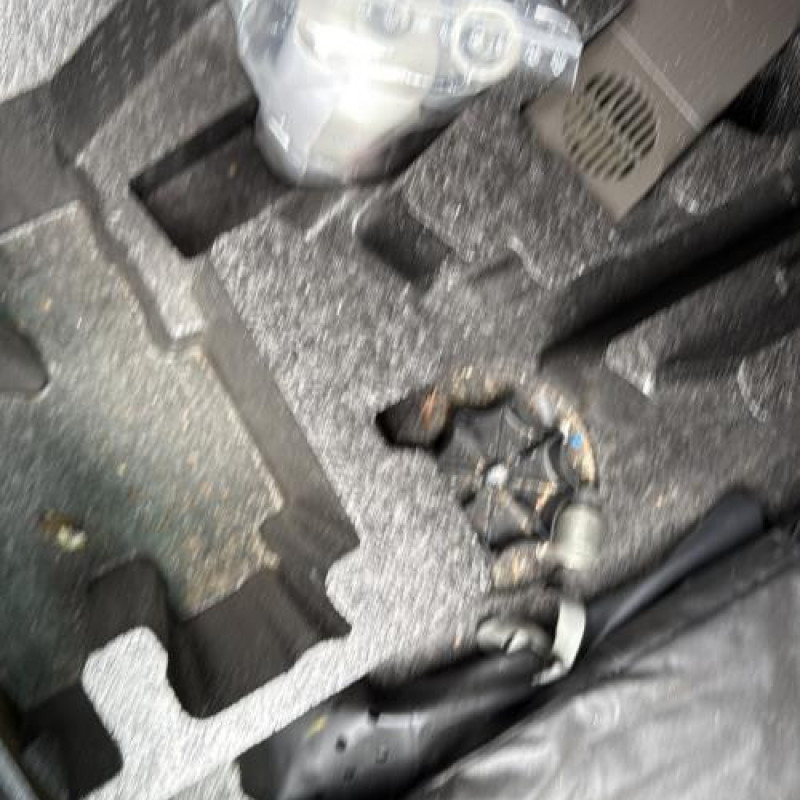 Poignee porte arriere gauche VOLKSWAGEN POLO 5 Photo n°19