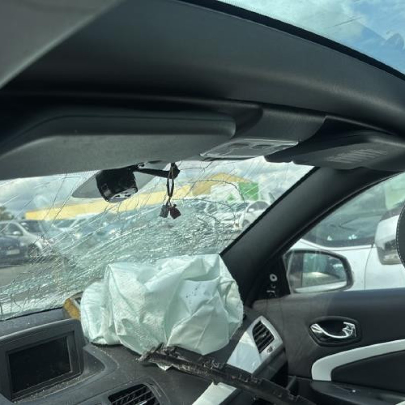 Custode arriere droit RENAULT MEGANE 3 Photo n°19