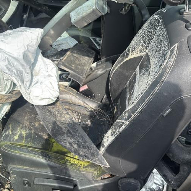 Custode arriere gauche RENAULT MEGANE 3 Photo n°16