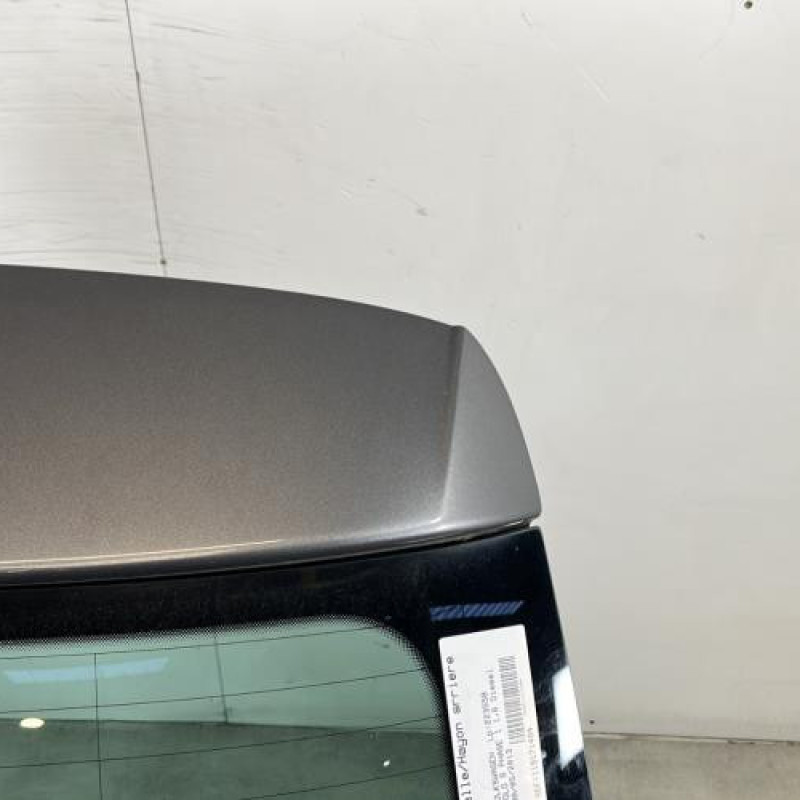 Malle/Hayon arriere VOLKSWAGEN POLO 5 Photo n°3