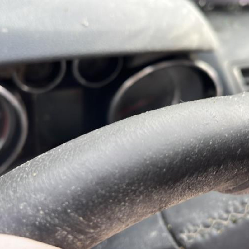 Poignee porte avant droit OPEL MOKKA 1 Photo n°13