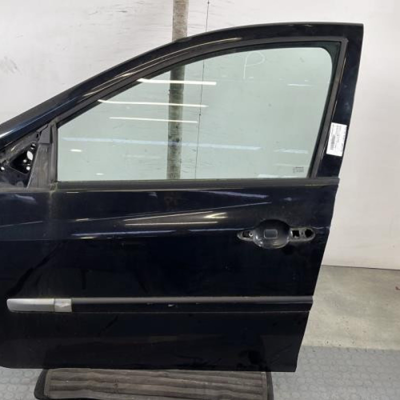 Porte avant gauche RENAULT CLIO 3 Photo n°1
