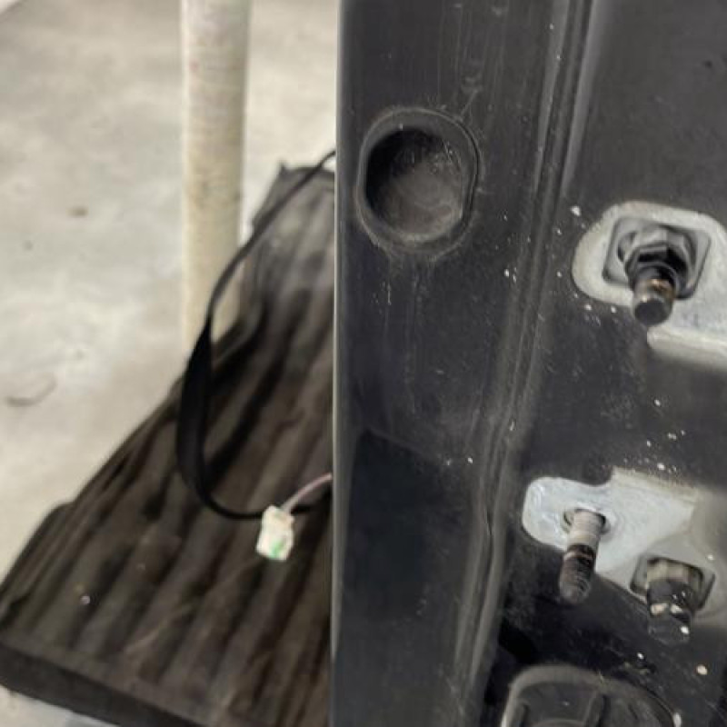 Porte avant gauche RENAULT CLIO 3 Photo n°2