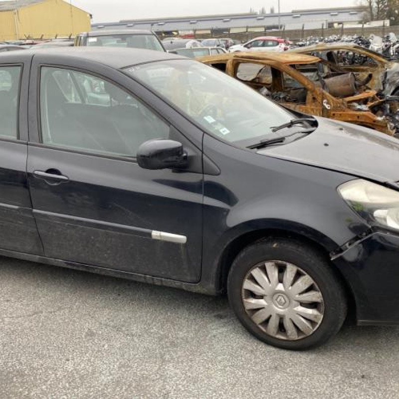 Porte avant gauche RENAULT CLIO 3 Photo n°11