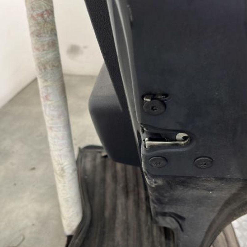 Porte arriere droit DACIA SANDERO 1 Photo n°3