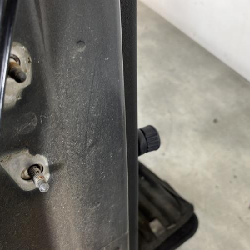 Porte arriere droit DACIA SANDERO 1 Photo n°4