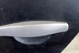 Porte arriere gauche DACIA SANDERO 1