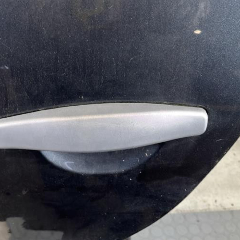 Porte arriere gauche DACIA SANDERO 1 Photo n°2