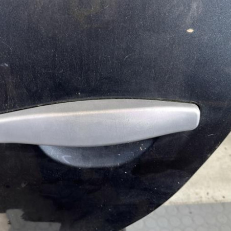 Porte arriere gauche DACIA SANDERO 1