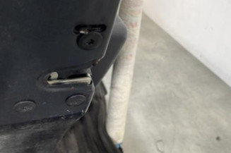 Porte arriere gauche DACIA SANDERO 1