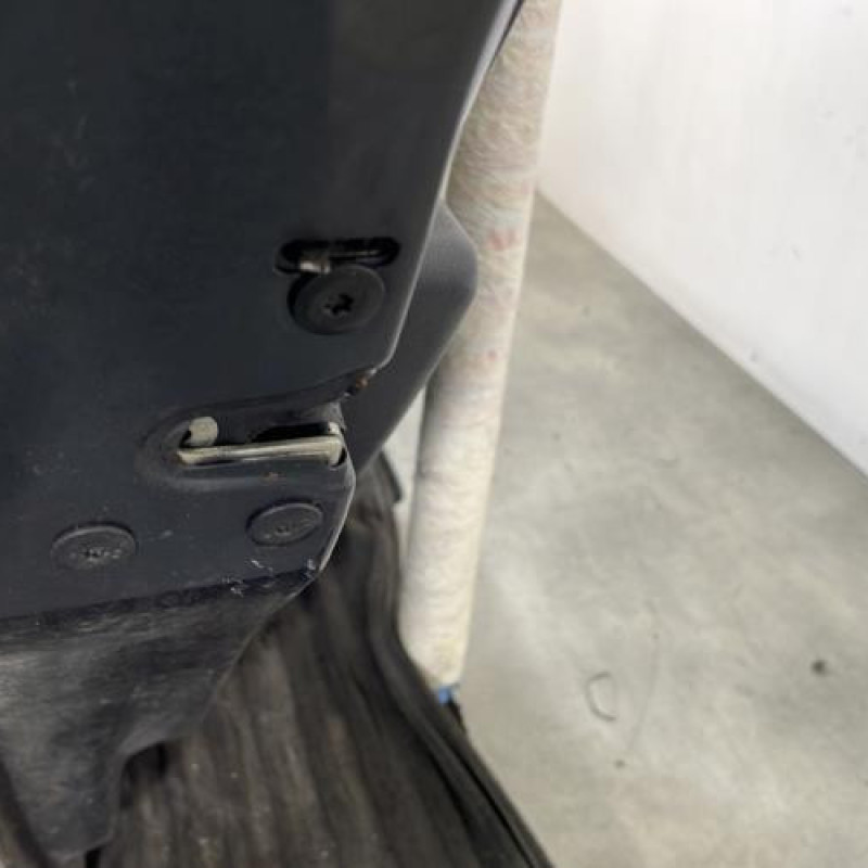 Porte arriere gauche DACIA SANDERO 1 Photo n°3