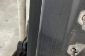 Porte arriere gauche DACIA SANDERO 1