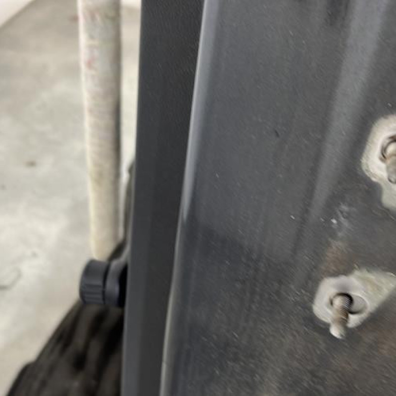 Porte arriere gauche DACIA SANDERO 1 Photo n°4